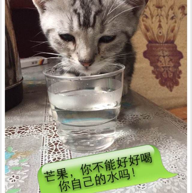 托福考试纸质成绩单邮寄单号